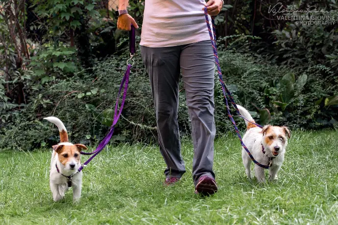 Educazione e Divertimento