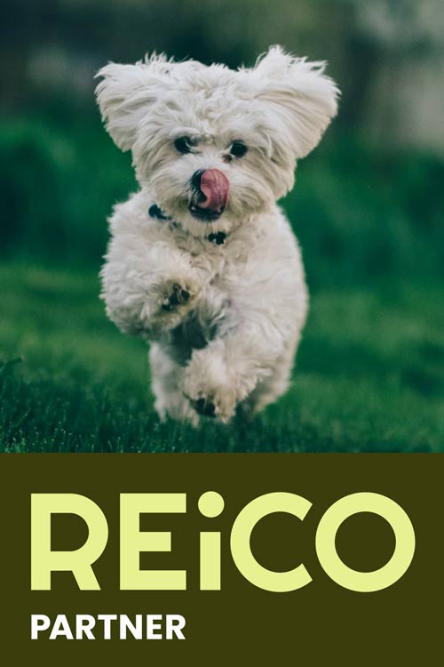 REiCO Shop Online