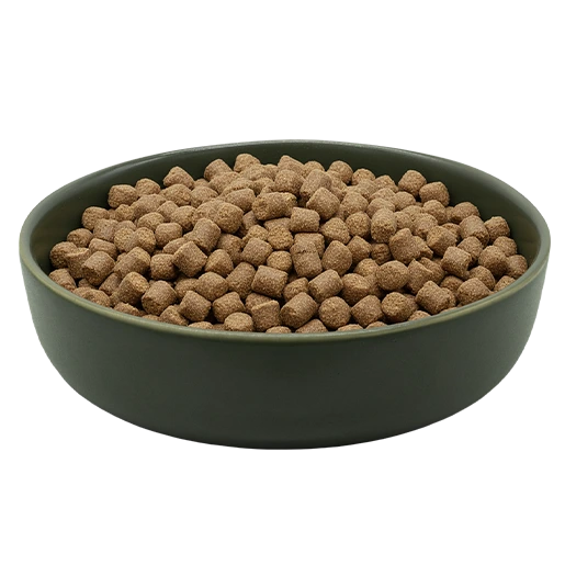 Cibo Secco per cani REiCO