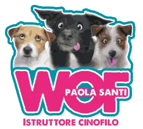 Paola Santi